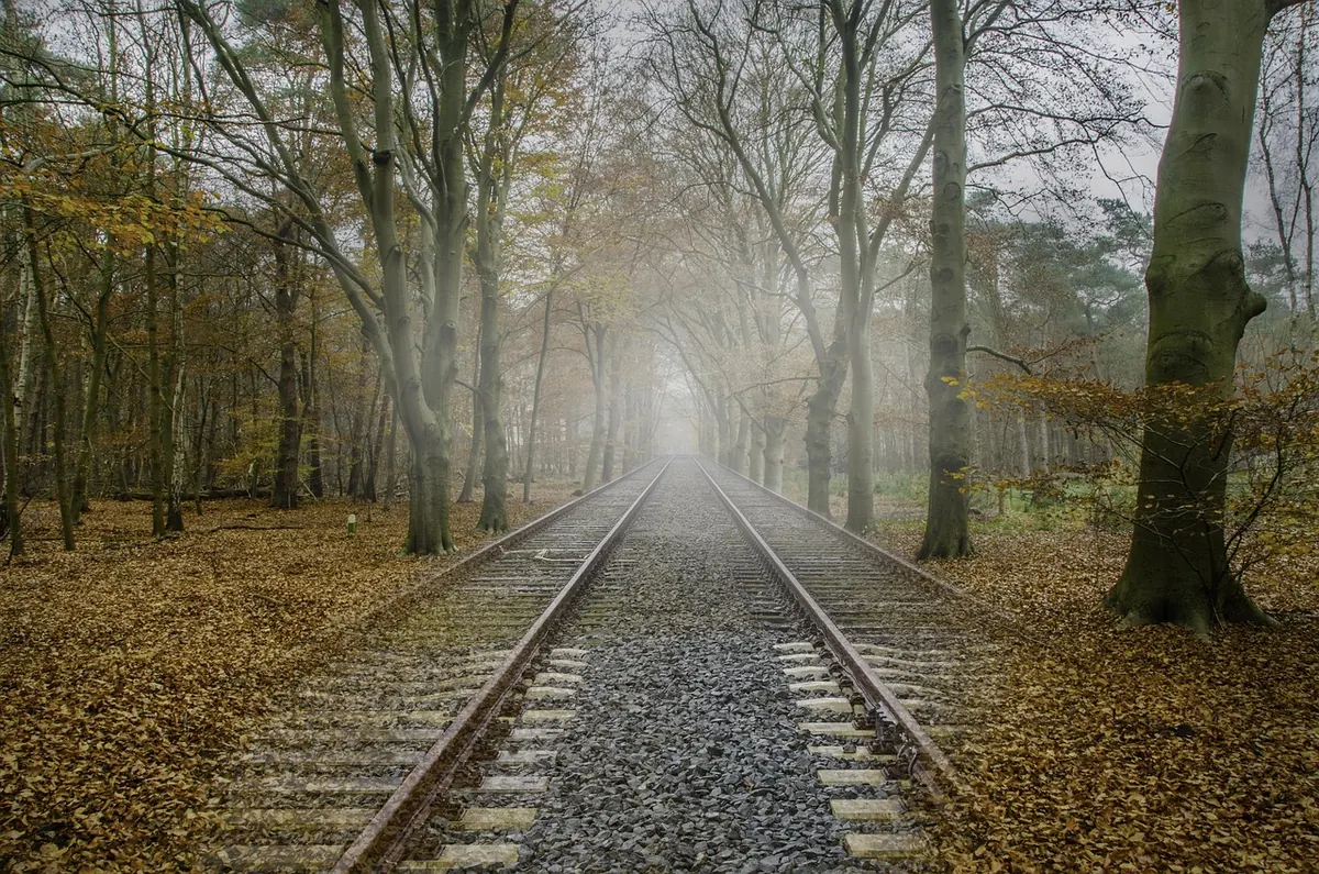 How to Photograph Fog: A Beginner's Guide to Metering, Focus and Mood